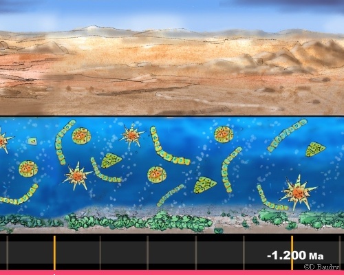 Image 53, en cours de chargement...