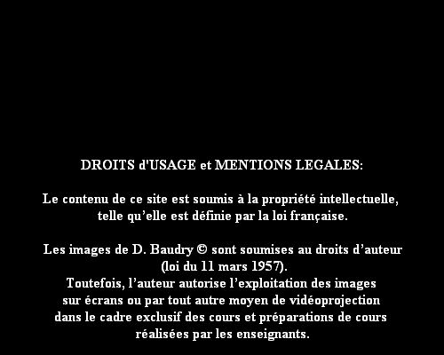 Image 1, en cours de chargement...